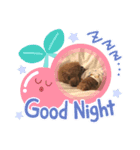 むーちゃんといっしょ（個別スタンプ：1）