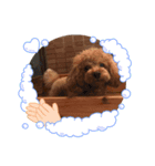むーちゃんといっしょ（個別スタンプ：4）