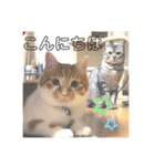 ころもずくのスタンプ2（個別スタンプ：5）