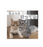 ころもずくのスタンプ2（個別スタンプ：9）