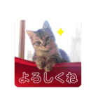ころもずくのスタンプ2（個別スタンプ：12）