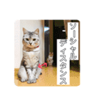 ころもずくのスタンプ2（個別スタンプ：15）