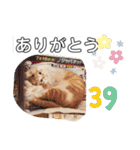 ころもずくのスタンプ2（個別スタンプ：16）