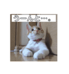 ころもずくのスタンプ2（個別スタンプ：20）