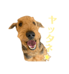 ぼろたんのおともだちルーク＆レイジー（個別スタンプ：4）