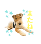 ぼろたんのおともだちルーク＆レイジー（個別スタンプ：7）