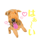 ぼろたんのおともだちルーク＆レイジー（個別スタンプ：8）