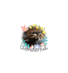 黒豆ちゃんと絶景と野生の鳥のスタンプ（個別スタンプ：19）