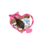 黒豆ちゃんと絶景と野生の鳥のスタンプ（個別スタンプ：23）