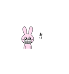 ［ うさぎかわいい ］（個別スタンプ：1）