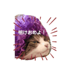 俺スタンプ  SP(お正月編)（個別スタンプ：1）