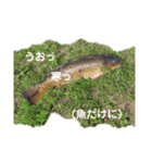 俺スタンプ  SP(お正月編)（個別スタンプ：7）