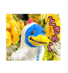 ニワトリペンギンと仲間たち（個別スタンプ：39）