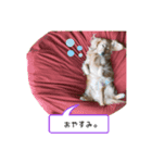 カニンヘンダックス★ココスタンプ（個別スタンプ：2）