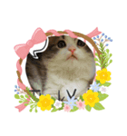 Pari＆Maro（個別スタンプ：6）