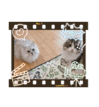 Pari＆Maro（個別スタンプ：7）