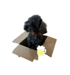 チョコクッキー 2（個別スタンプ：8）
