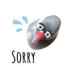 ☆我が家の文鳥☆（個別スタンプ：8）