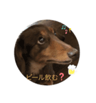 我が家のプリンセス1（個別スタンプ：7）