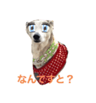 イタグレシーちゃん（個別スタンプ：3）