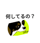 夜桜スイレンの気まぐれスタンプ（個別スタンプ：6）