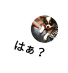 夜桜スイレンの気まぐれスタンプ（個別スタンプ：7）