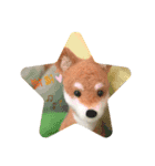 羊毛もふもふ☺︎すたんぷ☺︎（個別スタンプ：3）