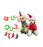 ゆず＆ポポ お祝いこと（個別スタンプ：16）