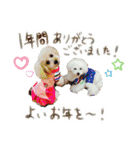 ゆず＆ポポ お祝いこと（個別スタンプ：21）