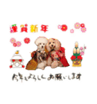 ゆず＆ポポ お祝いこと（個別スタンプ：22）