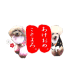 ゆず＆ポポ お祝いこと（個別スタンプ：23）