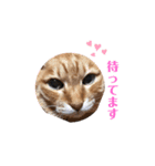 クロな生活(1)（個別スタンプ：7）