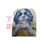ウサギ＆犬（個別スタンプ：4）