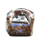ウサギ＆犬（個別スタンプ：7）