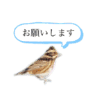 きょんのスタンプ(野鳥と花)（個別スタンプ：14）