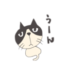 白黒のネコ（個別スタンプ：4）