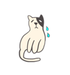 白黒のネコ（個別スタンプ：16）