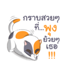 Ponzu Neko (Thai ver.)（個別スタンプ：5）