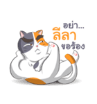 Ponzu Neko (Thai ver.)（個別スタンプ：11）