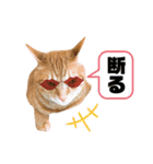 茶太郎と黒子の毎日＋ゆきまる！（個別スタンプ：23）