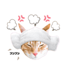 茶太郎と黒子の毎日＋ゆきまる！（個別スタンプ：30）