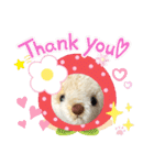くまちゃんかわいい日常使えるやさしい（個別スタンプ：1）
