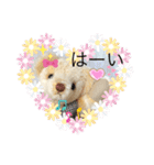くまちゃんかわいい日常使えるやさしい（個別スタンプ：2）