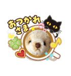 くまちゃんかわいい日常使えるやさしい（個別スタンプ：3）