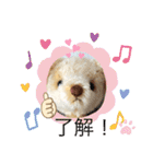 くまちゃんかわいい日常使えるやさしい（個別スタンプ：4）