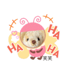 くまちゃんかわいい日常使えるやさしい（個別スタンプ：5）