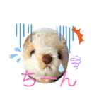 くまちゃんかわいい日常使えるやさしい（個別スタンプ：7）