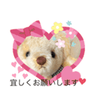 くまちゃんかわいい日常使えるやさしい（個別スタンプ：12）
