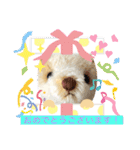 くまちゃんかわいい日常使えるやさしい（個別スタンプ：14）