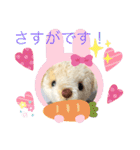 くまちゃんかわいい日常使えるやさしい（個別スタンプ：16）